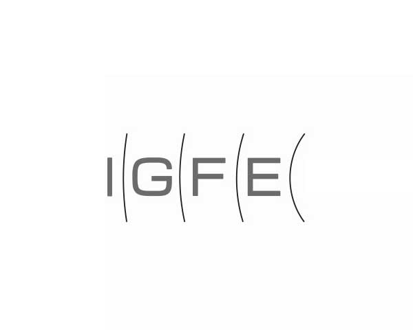 „IGFE broadcast systems“<br/ >logotipo ir stiliaus sukūrimas