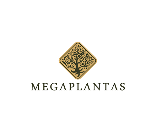 „Megaplantas“ logotipo ir stiliaus sukūrimas<br/ >želdinių projektavimo ir įrengimo bendrovei