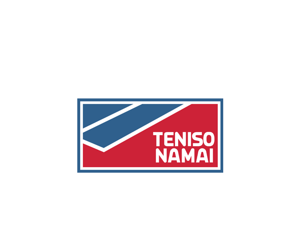 „Teniso Namai“ logotipo <br/ > ir firminio stiliaus sukūrimas